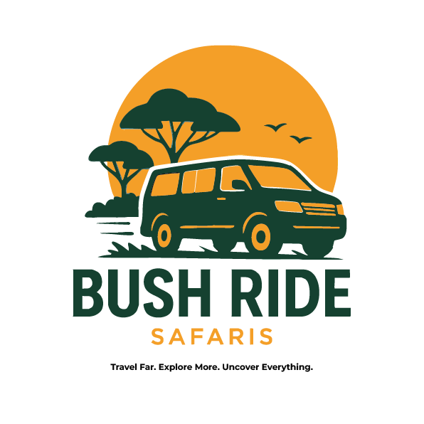 Bush Ride Safaris